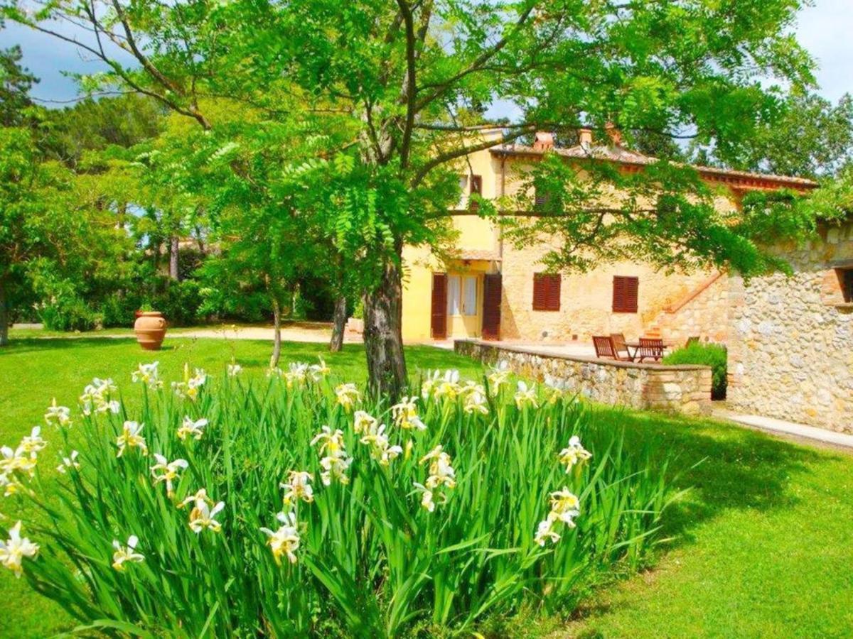 Agriturismo Fattoria Il Piano - Appartamento Antica Cucina - San Gimignano Exteriér fotografie