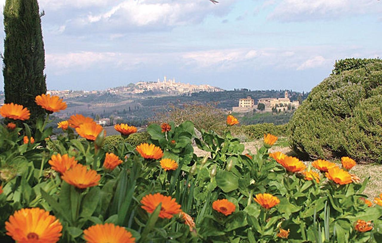 Agriturismo Fattoria Il Piano - Appartamento Antica Cucina - San Gimignano Exteriér fotografie